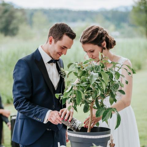 Ein Hochzeitspaar beim Baum pflanzen Ritual einer freien Trauung